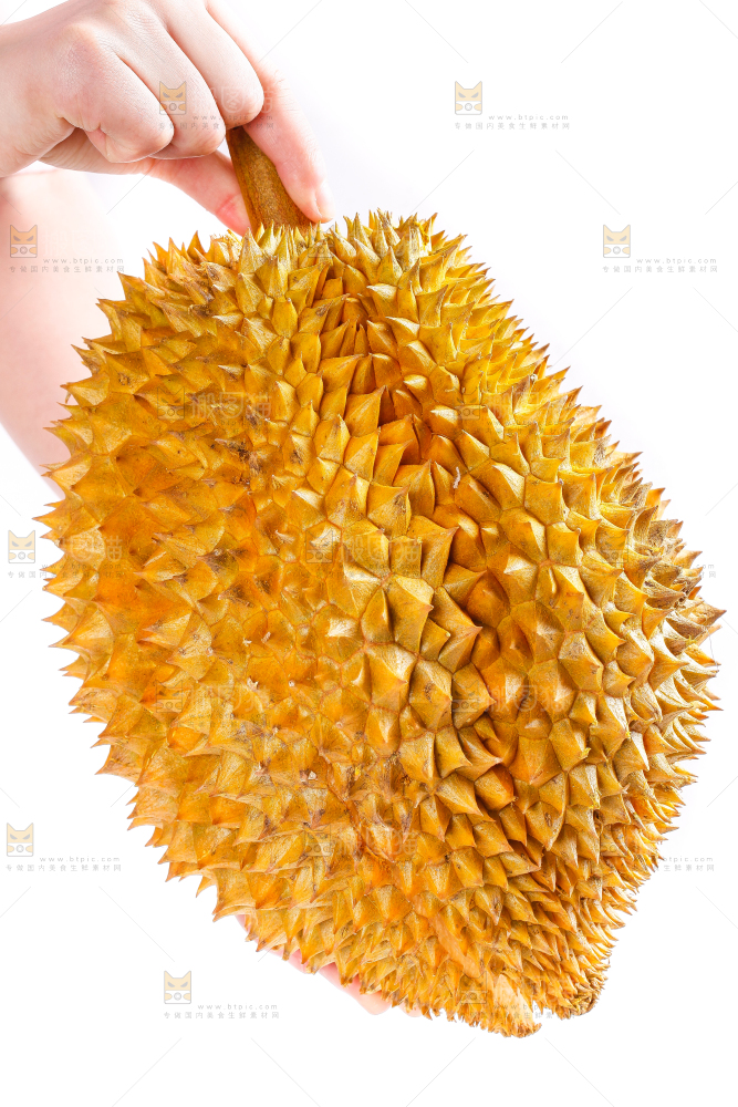 手里拿着榴莲