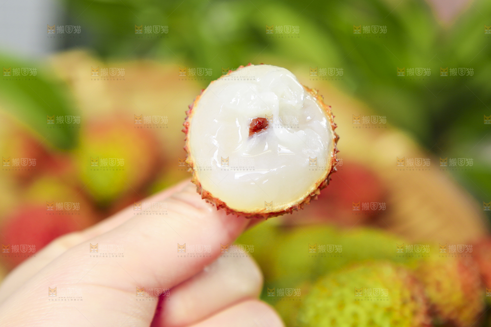 妃子笑荔枝