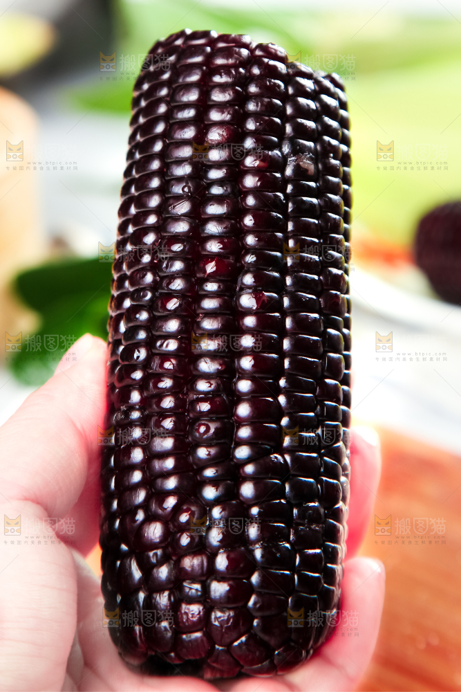 木底上放着东北黑玉米