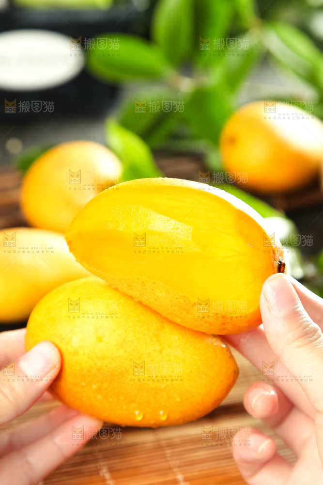 手里拿着台农芒果