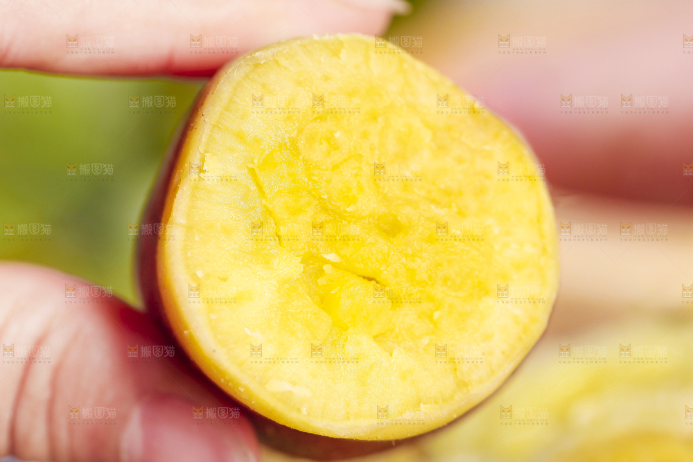 木底上摆放着地瓜