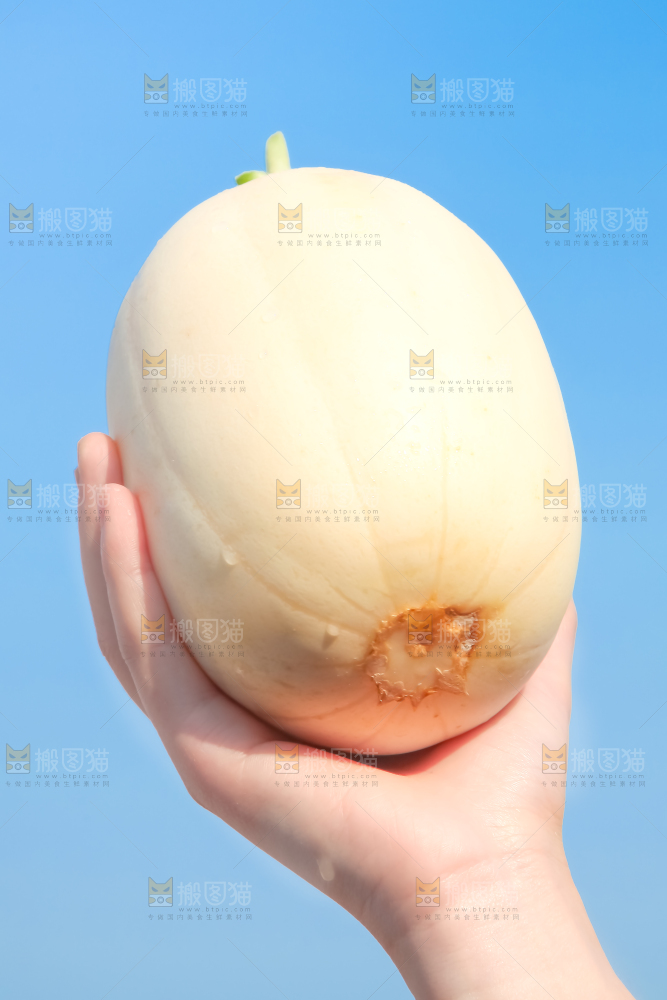 手里拿着东方蜜甜瓜