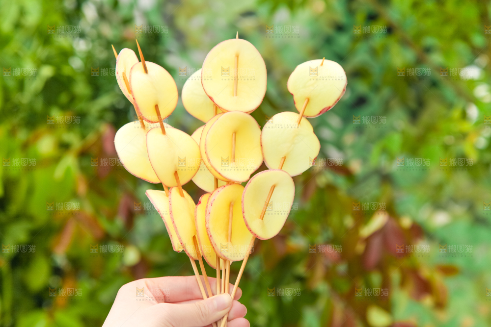 竹签串着切片的土豆