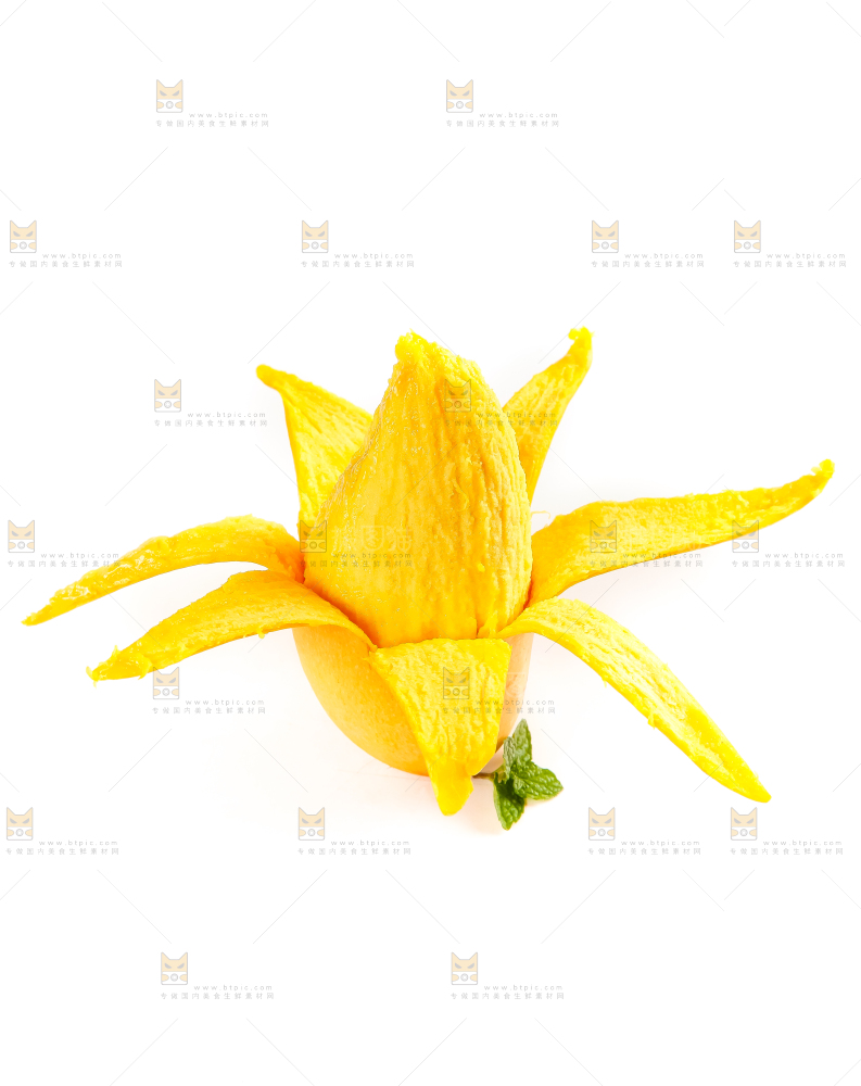白底上放着云南鹰嘴芒
