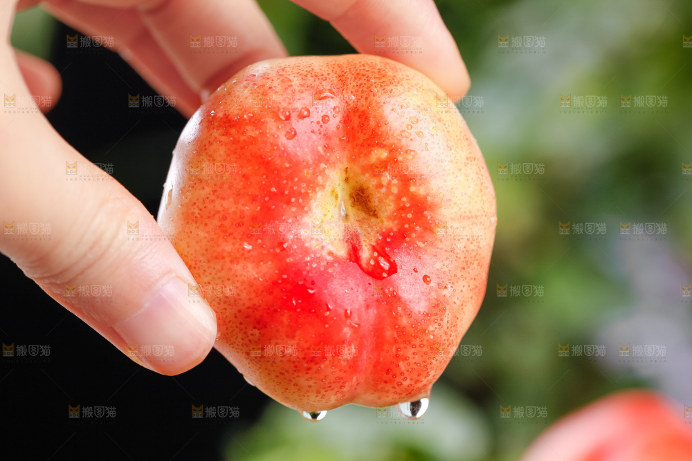 手里拿着纽扣油蟠桃