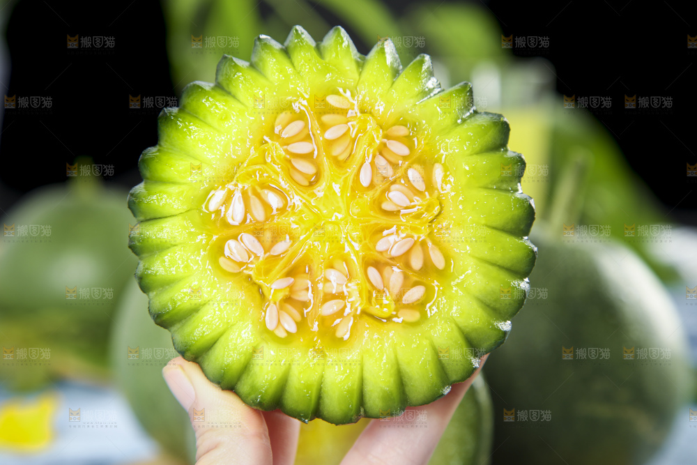手里拿着绿宝甜瓜