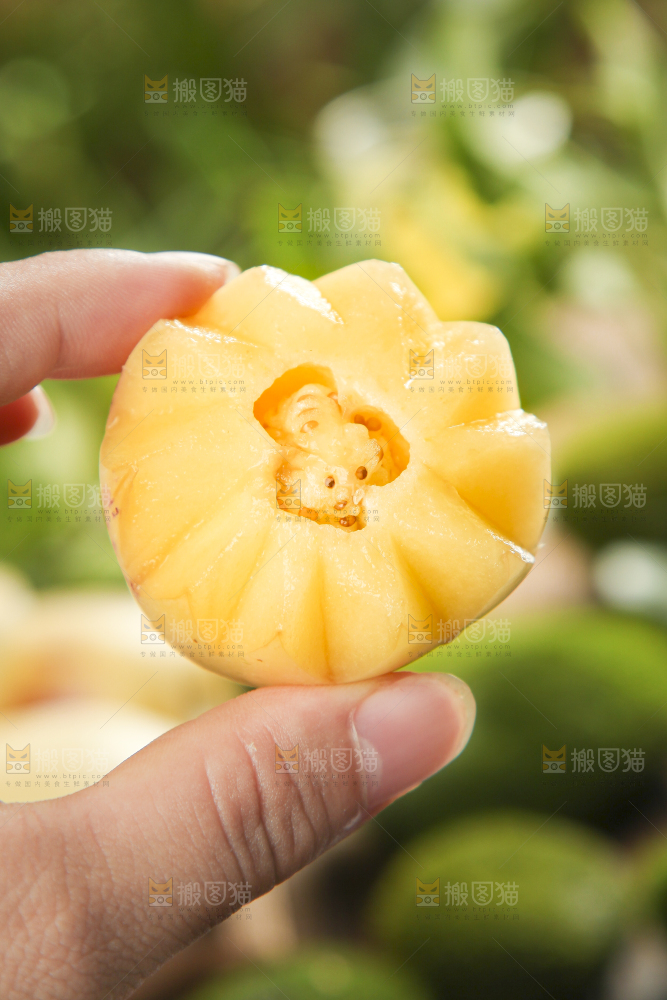 手里拿着人参圆果