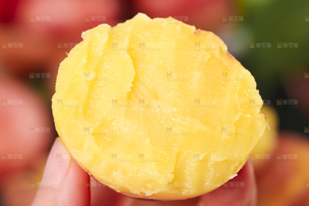 手里拿着红皮黄心土豆