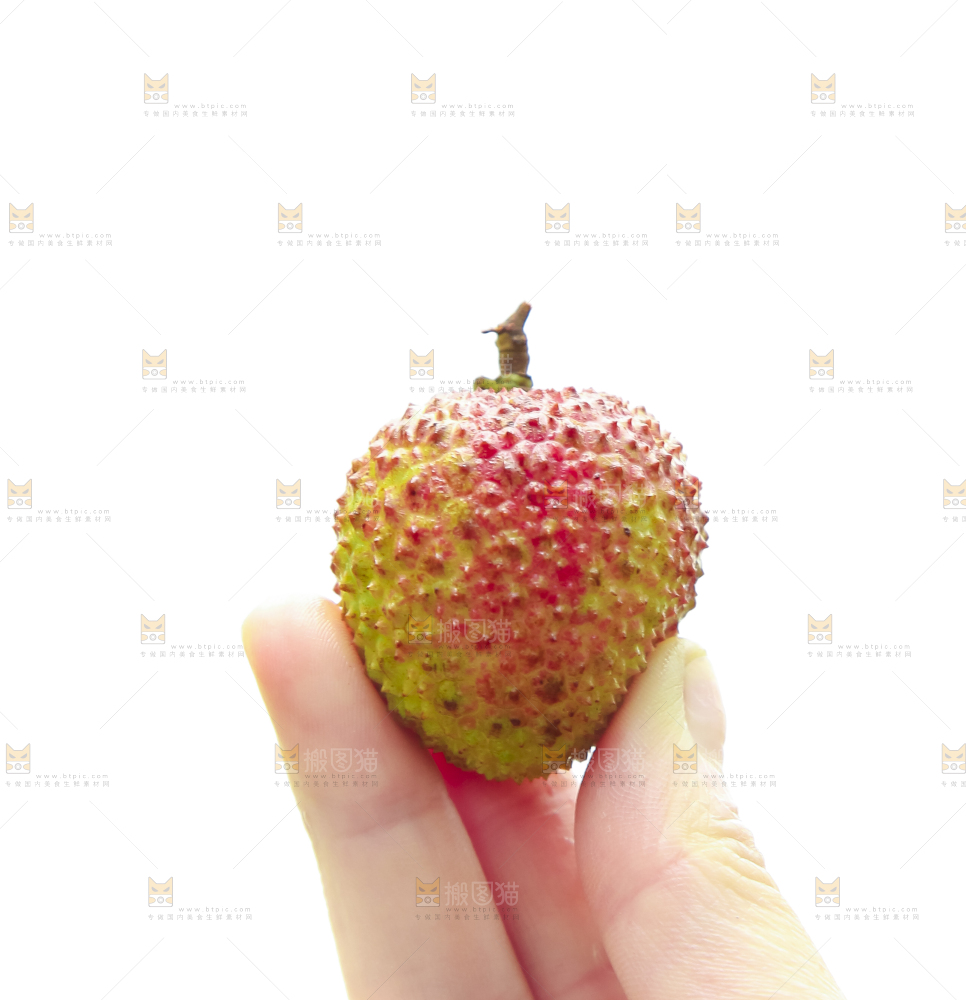 手里拿着妃子笑荔枝