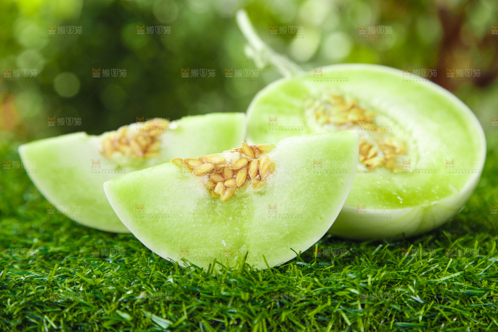 绿草地上摆放着玉菇甜瓜