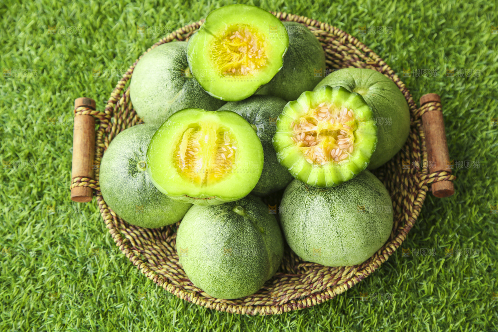 篮子里装着绿宝蜜瓜