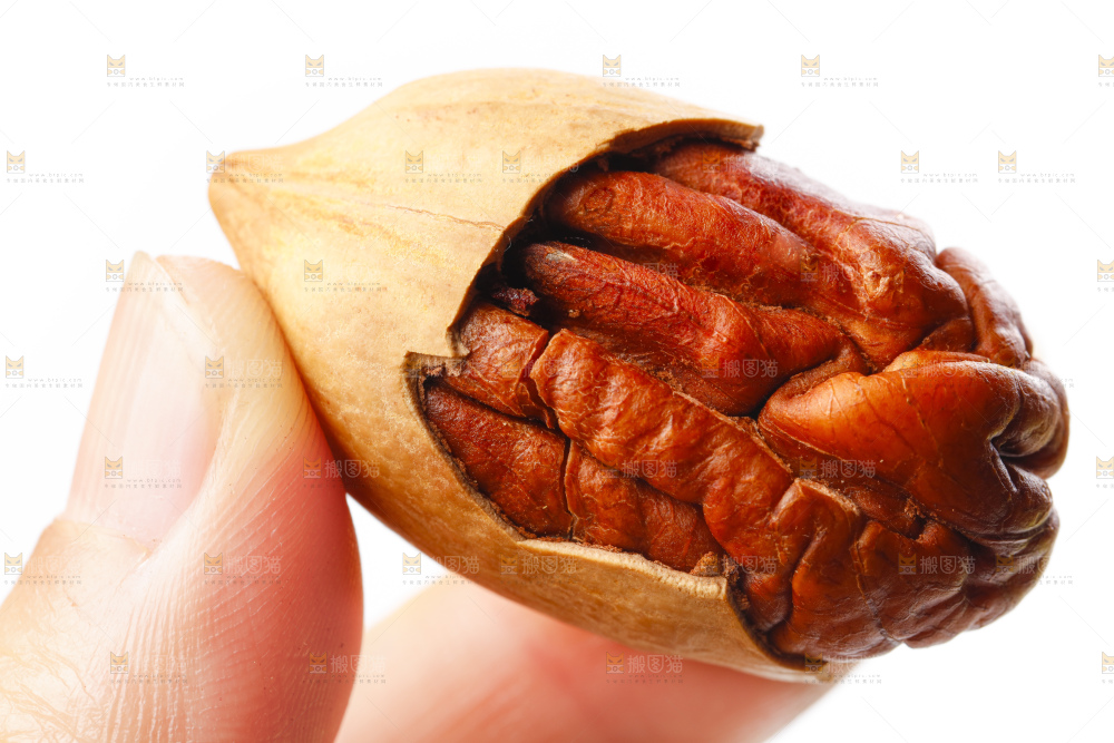 手里拿着长寿果