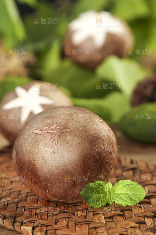 木底上摆放着新鲜香菇
