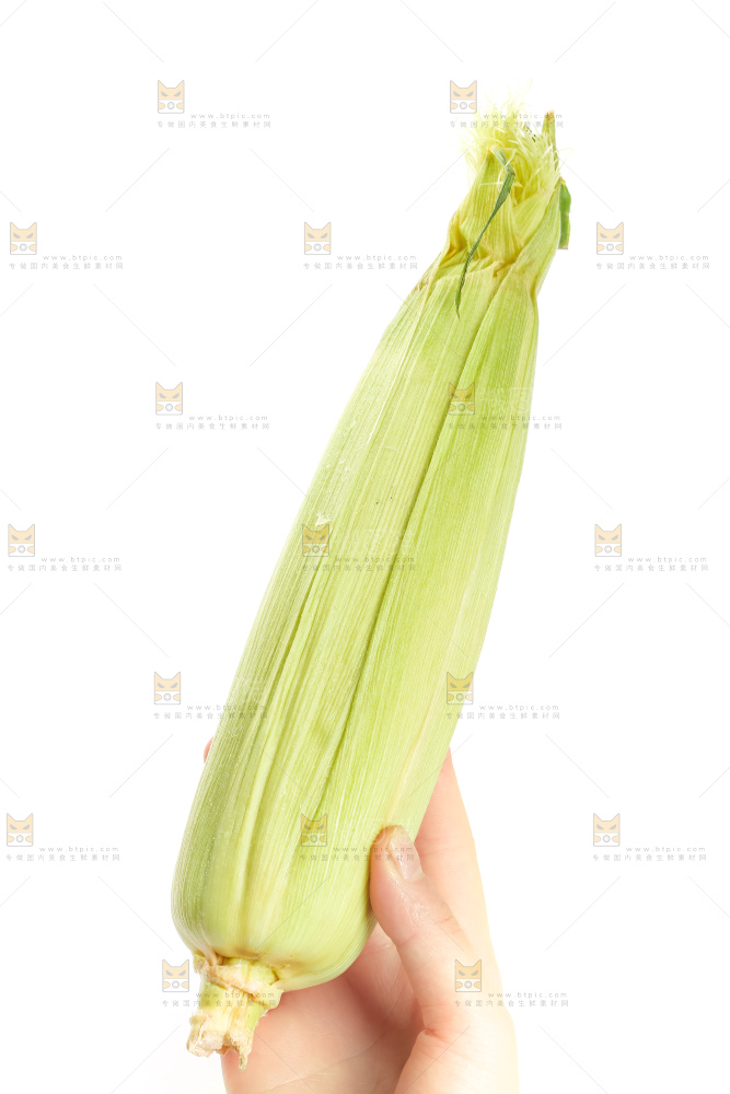 手里拿着白玉米