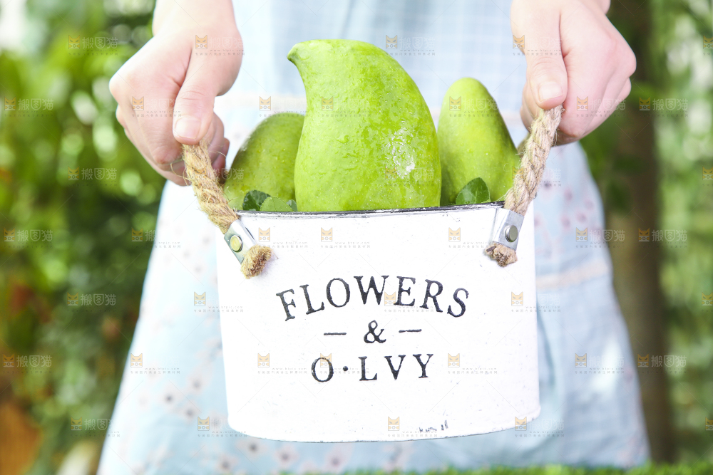 手提篮里装着新鲜鹰嘴芒