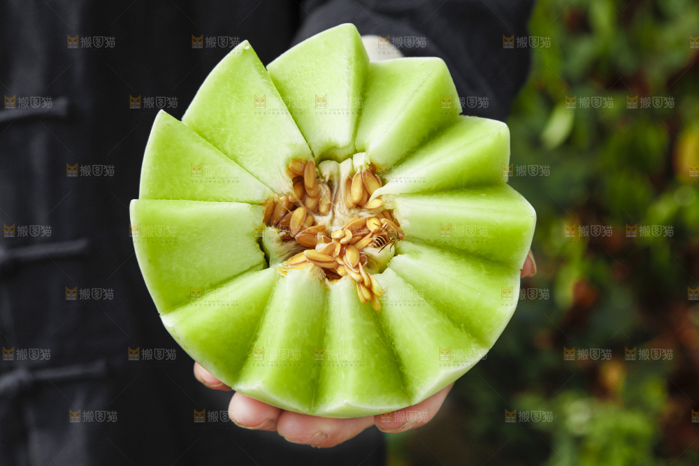 手里拿着玉菇香瓜