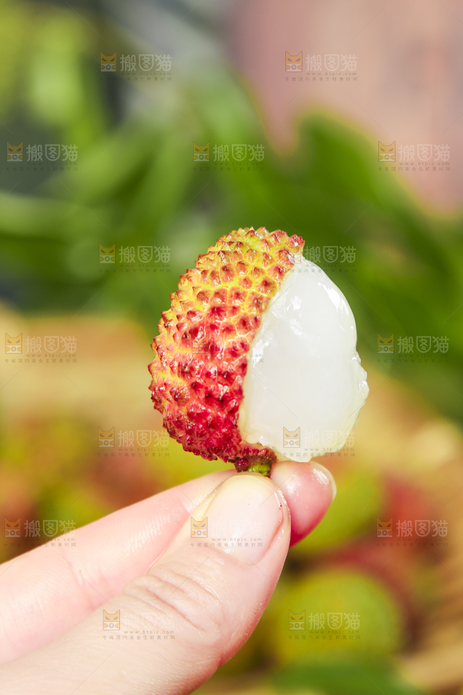 妃子笑荔枝