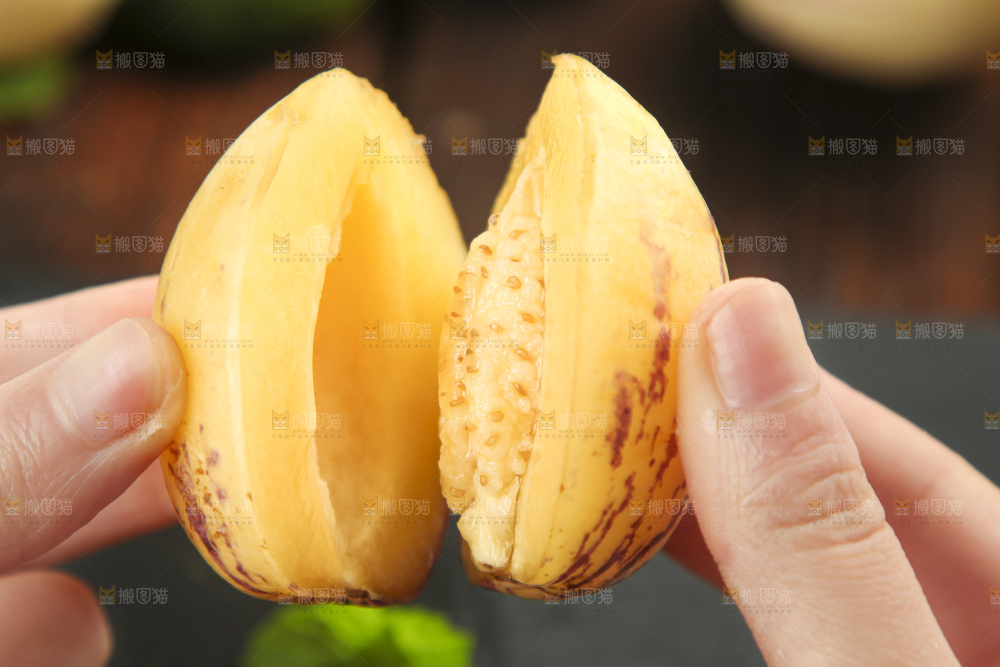手里拿着人参圆果