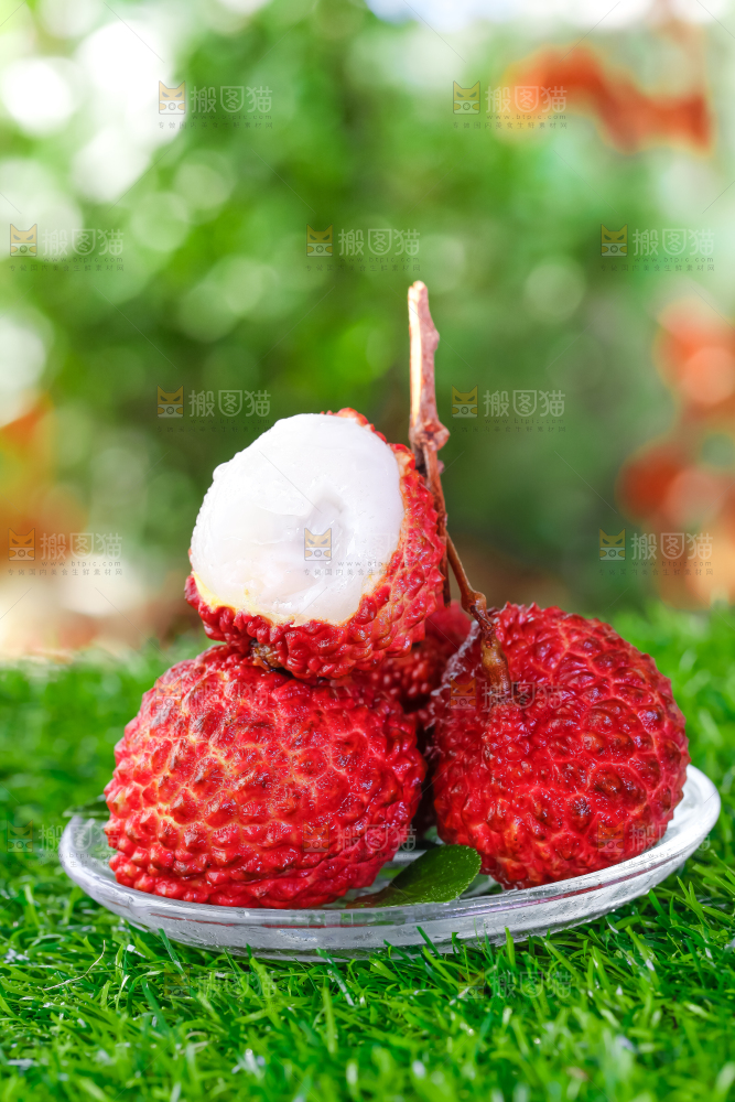 草地上摆放着火山荔枝王