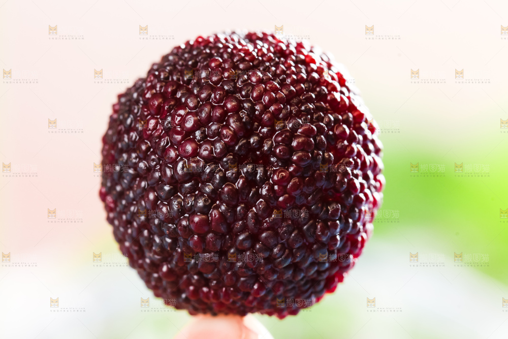手里拿着荸荠杨梅
