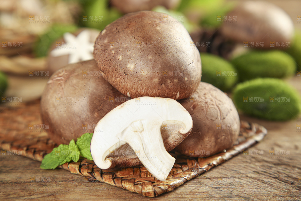 木底上摆放着新鲜香菇