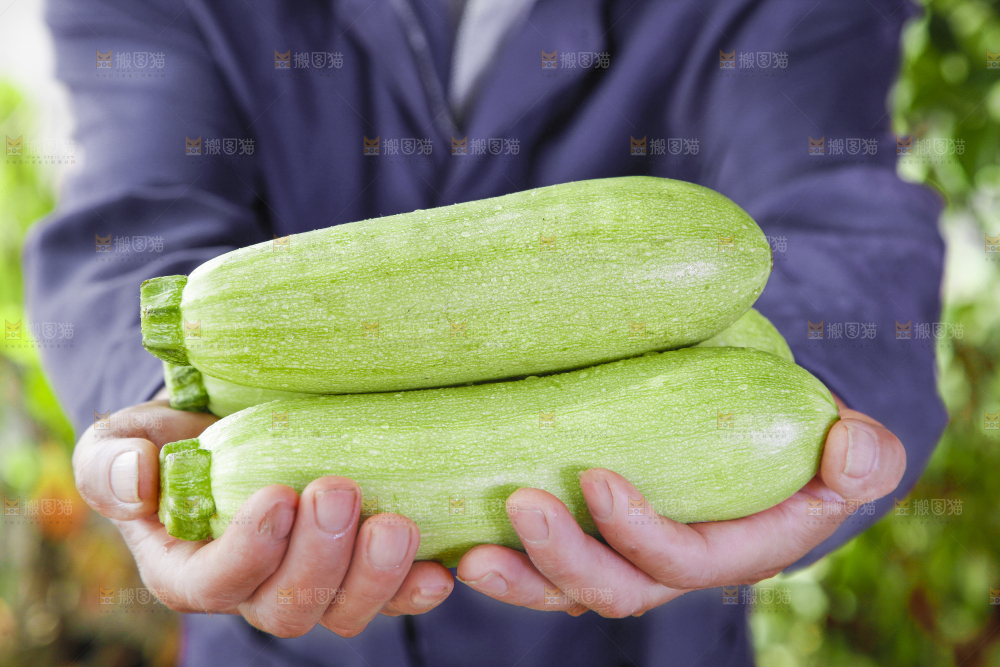 手里拿着西葫芦瓜