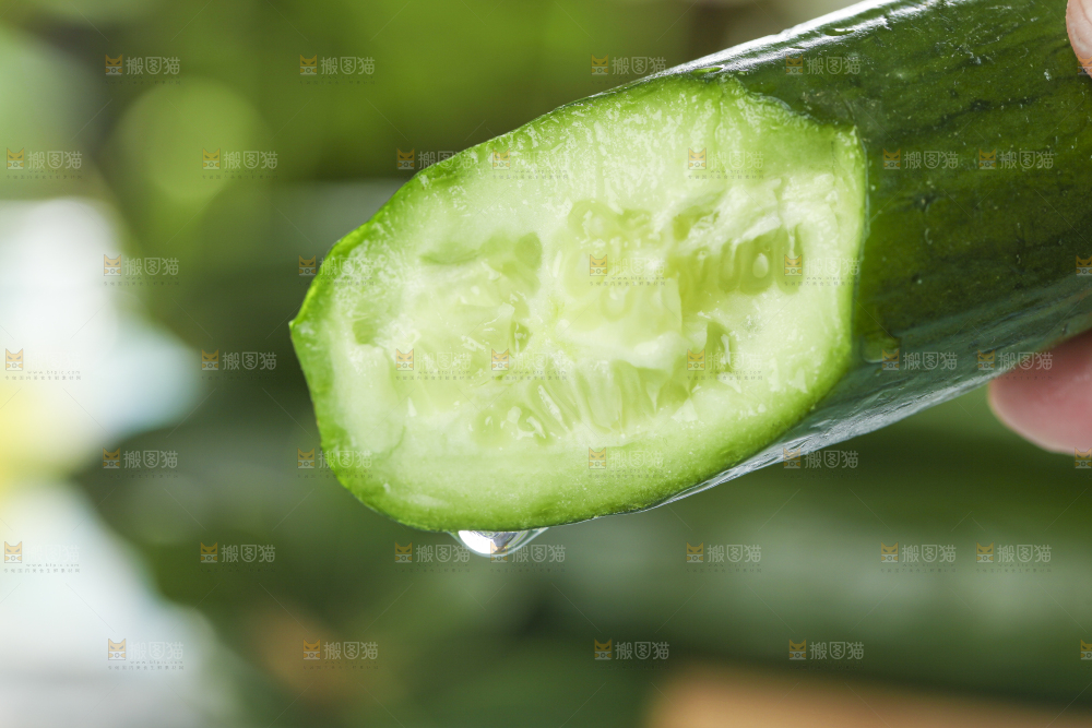 手里拿着小青瓜