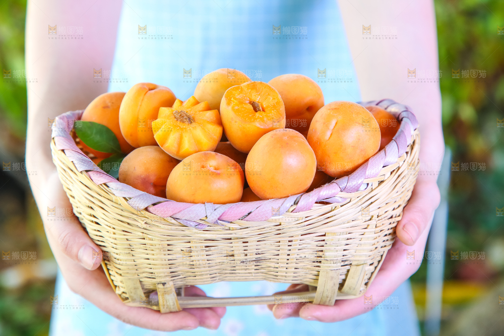 手里拿着一篮金太阳大黄杏