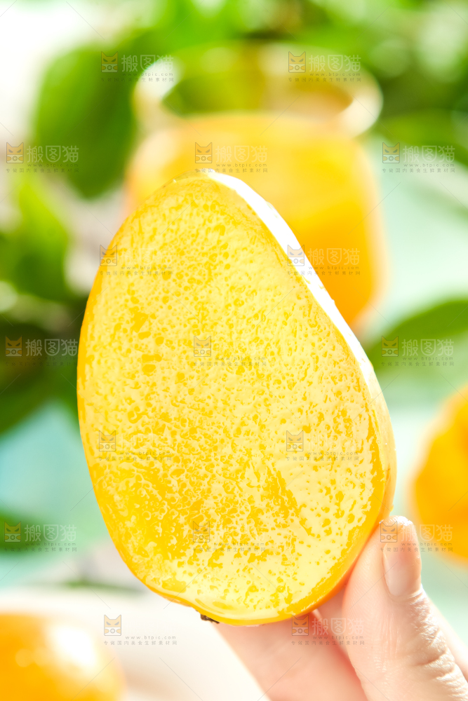 手里端着海南小台农芒果