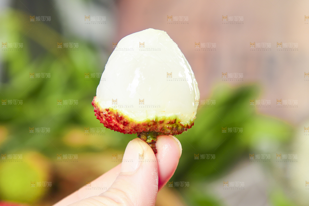 妃子笑荔枝