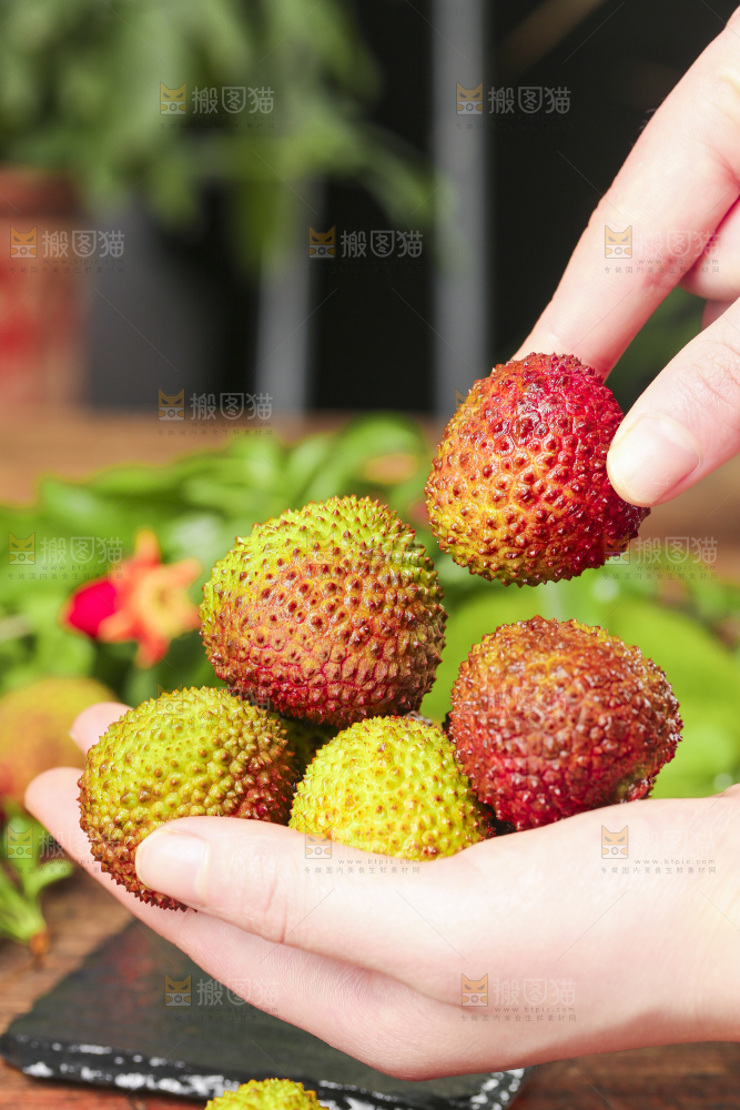手捧着妃子笑荔枝