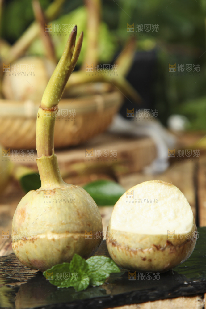 黑底上放着云南新鲜茨菇