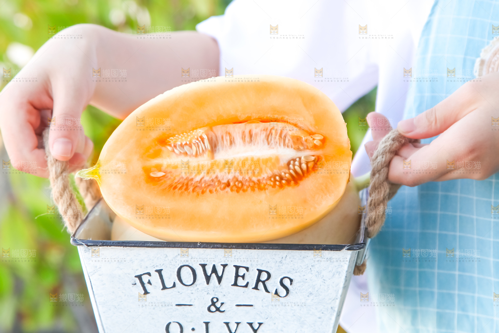 手里提着蜜瓜
