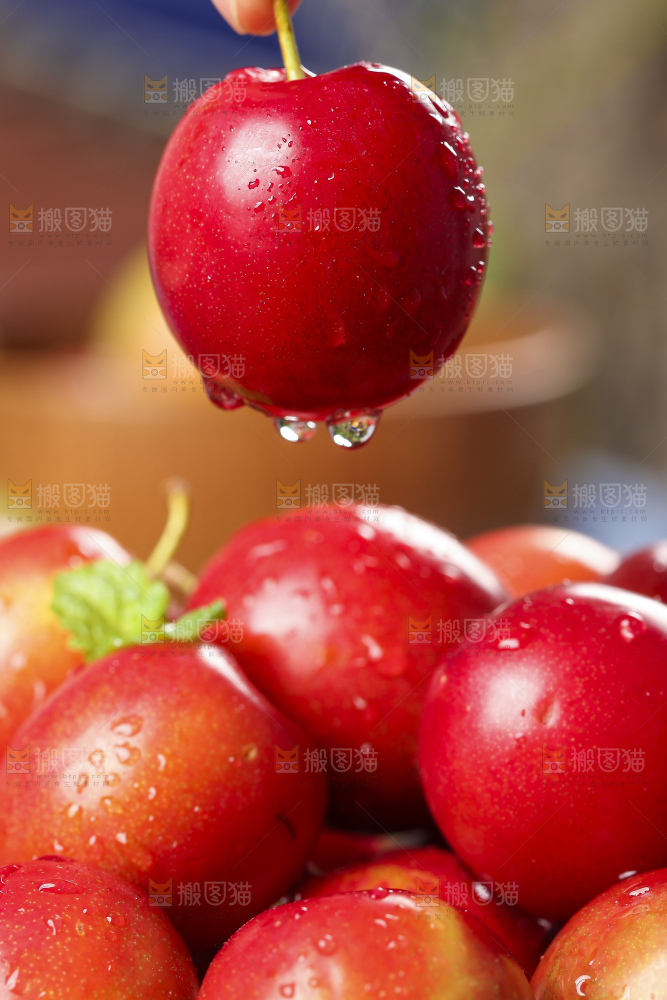 手里拿着脆李子