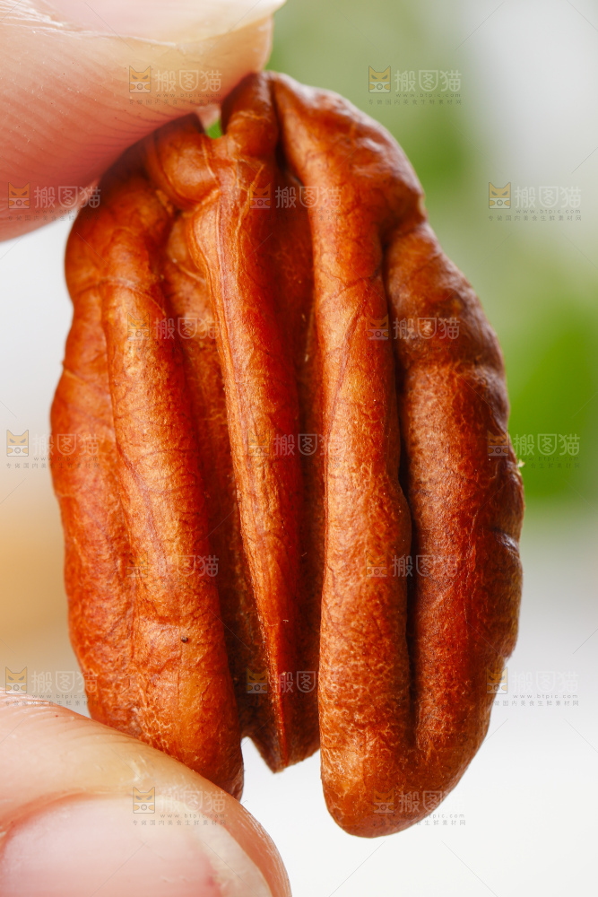 手里拿着长寿果