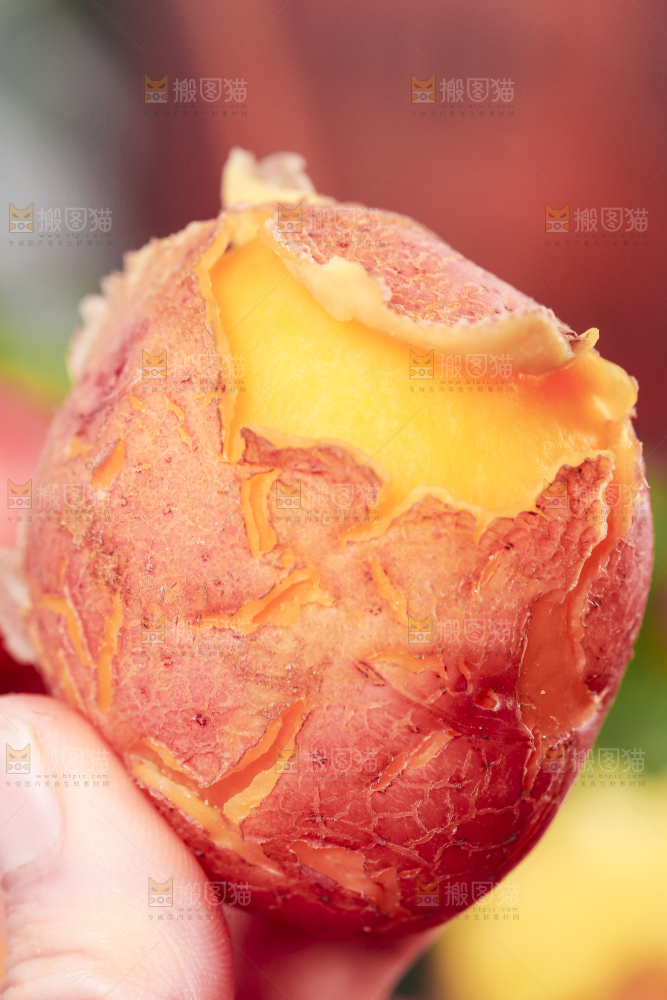 手里拿着红皮土豆