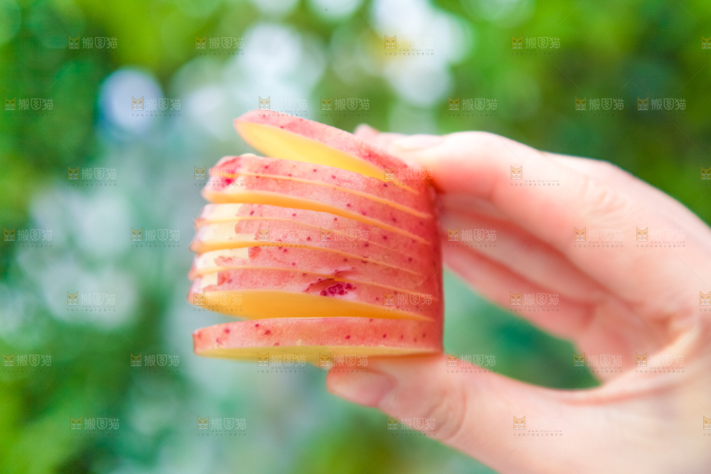 手里拿着土豆