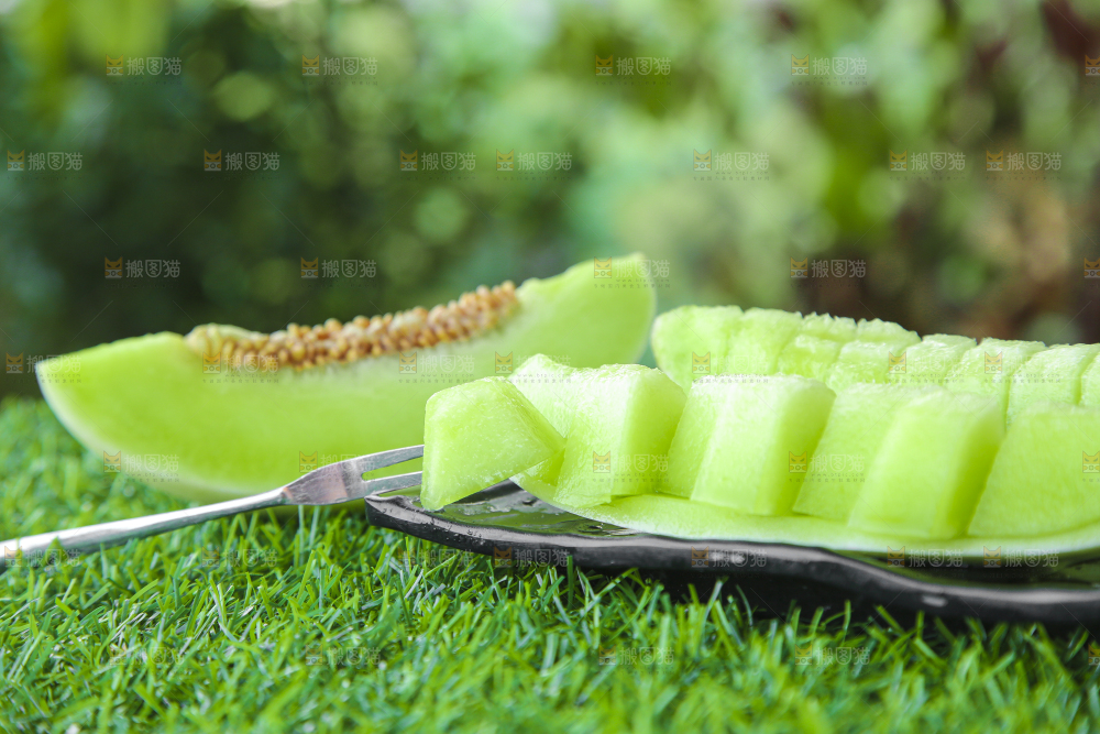绿草地上放着一玉菇甜瓜
