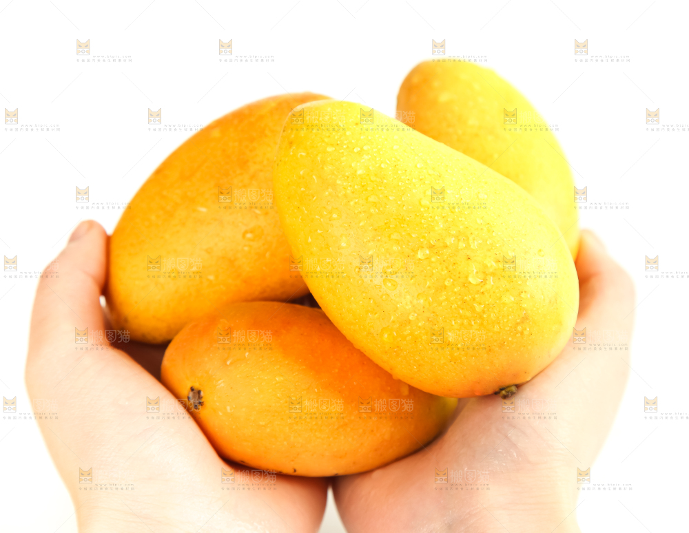 手里拿着小台芒