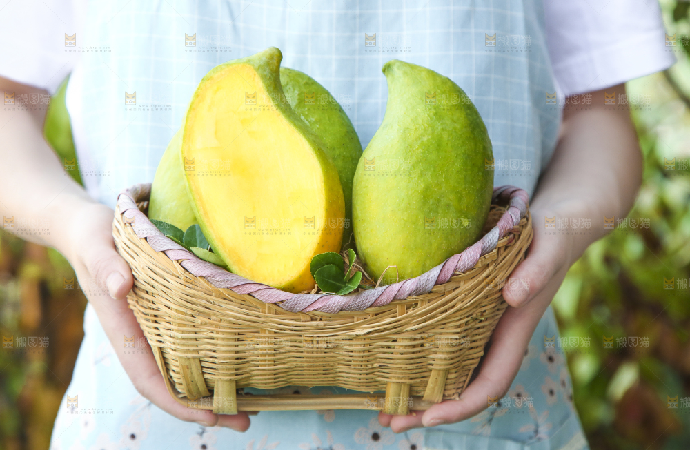 篮子里装着新鲜鹰嘴芒