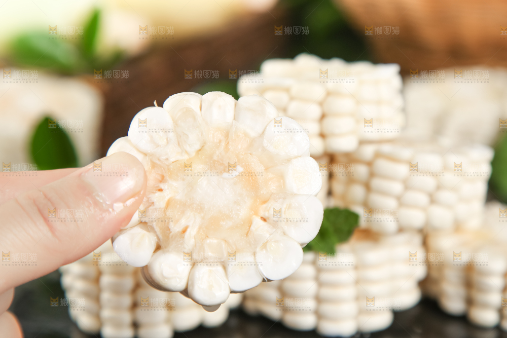 黑底上放着白玉米