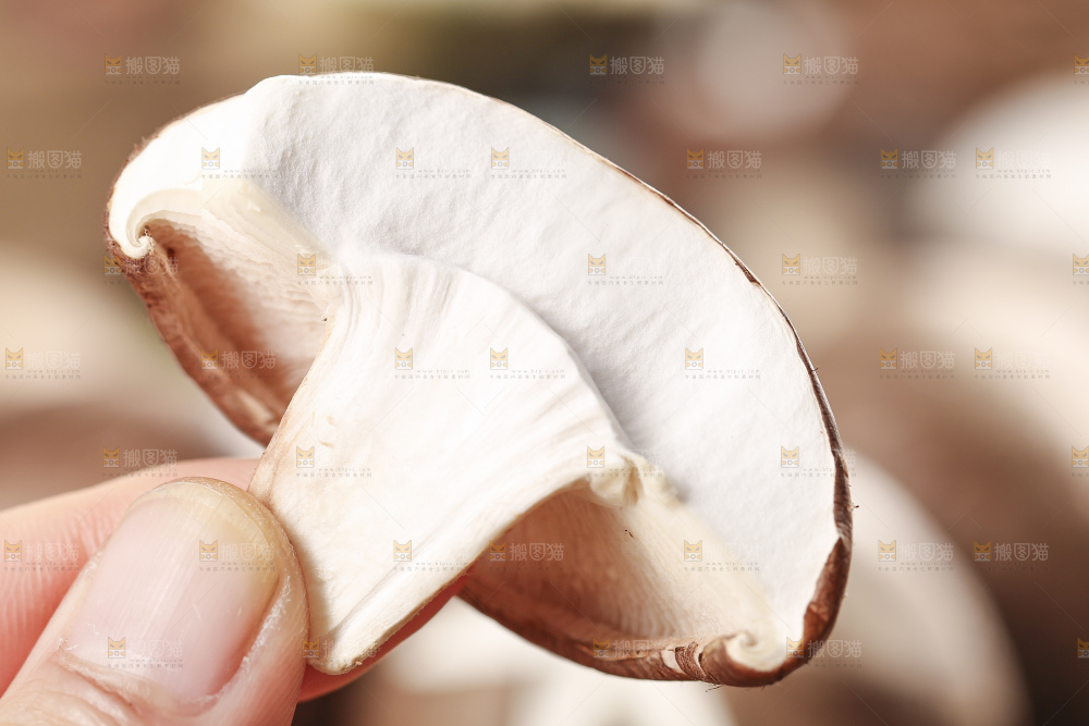 手里拿着菌菇