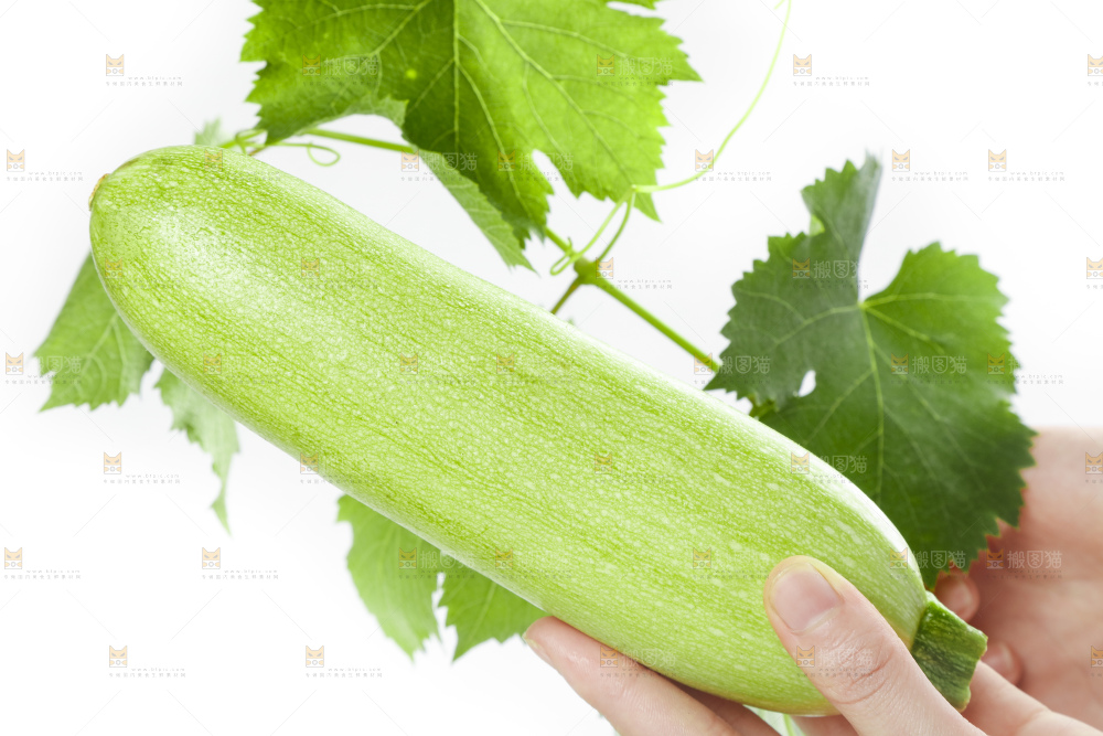 手里拿着西葫芦