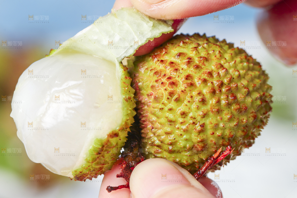 手里拿着海南荔枝