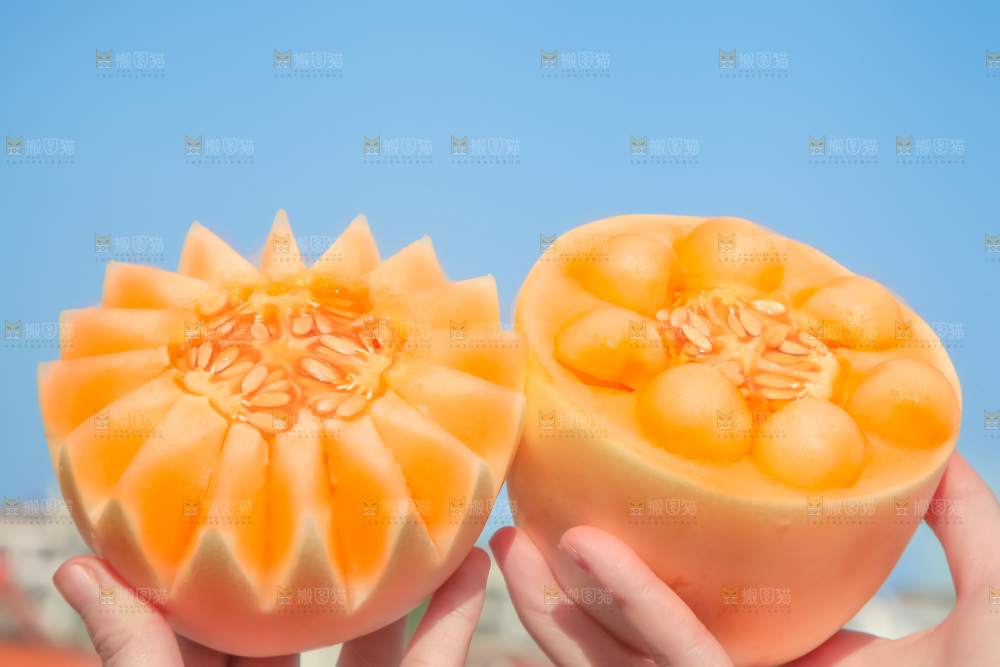手里拿着东方蜜甜瓜