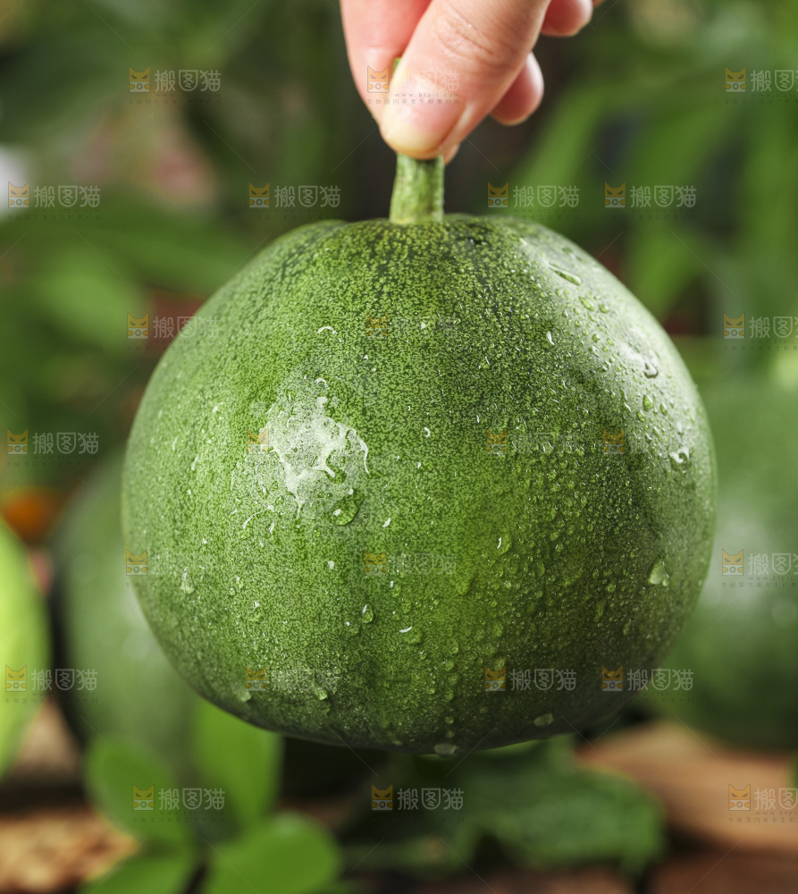 手里拿着绿宝甜瓜