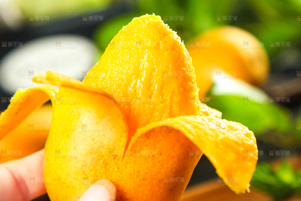 小台芒