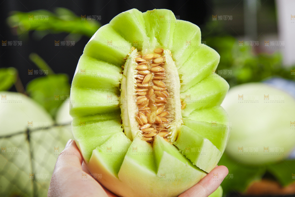 手里拿着玉菇香瓜