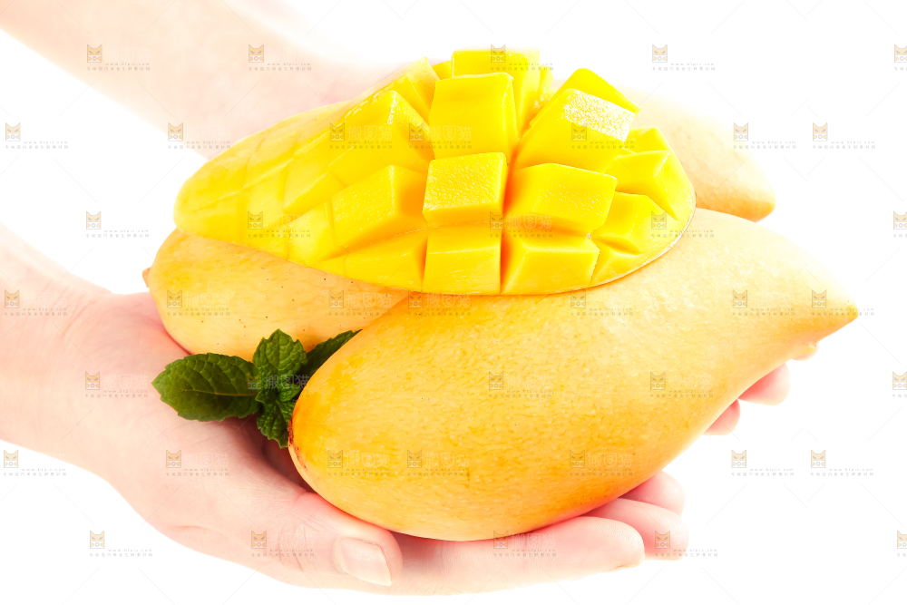 手里拿着缅甸进口鹰嘴芒