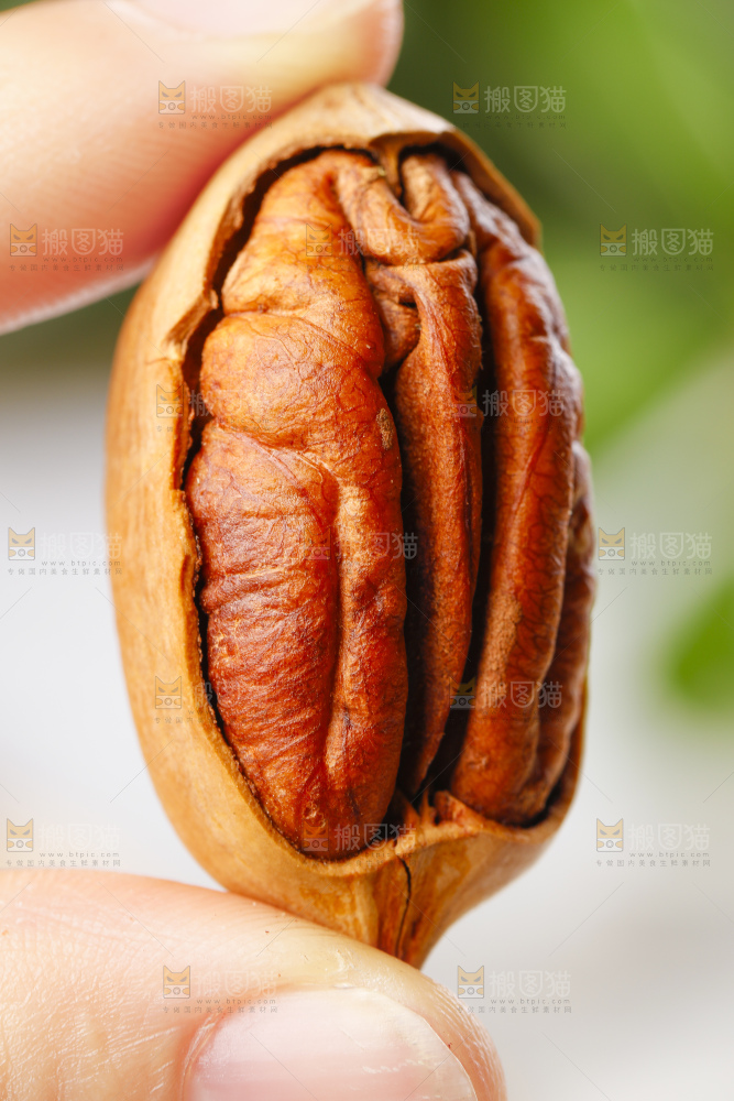 手里拿着长寿果